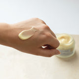 SCHWANEN GARTEN Antioxidant Nourishing Cream